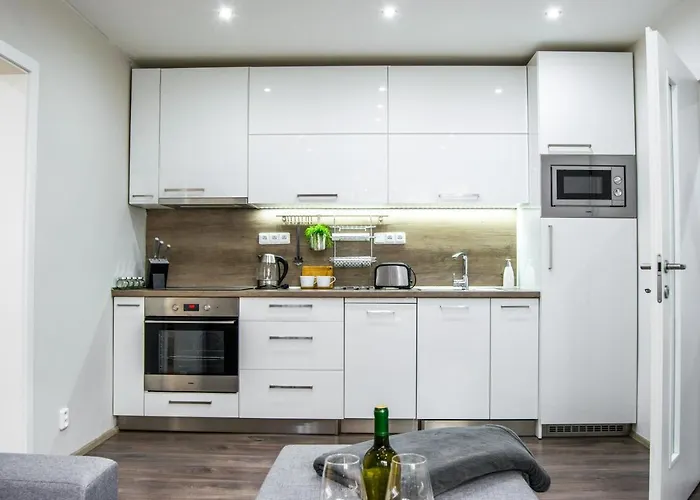 Apartment In Downtown