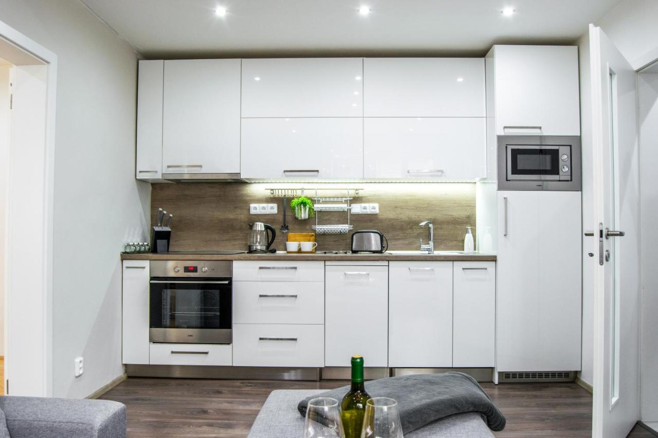 In Downtown Apartment *